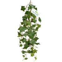 Terrario – Sztuczna Roślina do Terrarium – Bluszcz Zwisający 75 cm