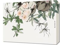 Obraz 50x40cm Owoc Granatu Morimoto Toko Japoński Vintage do Salonu