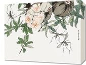 Obraz 50x40cm Owoc Granatu Morimoto Toko Japoński Vintage do Salonu