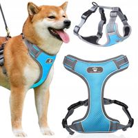 SZELKI DLA PSA BEZUCISKOWE MOCNE WYTRZYMAŁE TYPU GUARD Z REGULACJĄ roz. L