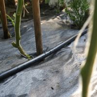 50mb - RURA ZASILAJĄCA IRYGACYJNA DO NAWADNIANIA Montażowa PE fi 16 WĄŻ