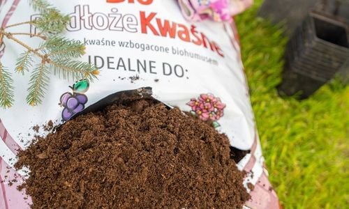 Ziemia do Borówek Hortensji BIO Podłoże do Azalii Wrzosów z Nawozem na Arena.pl