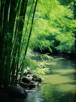 product-compare-59357507