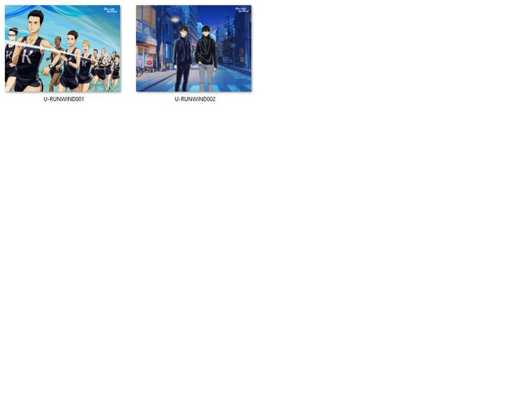 Poduszka Run with the Wind DO WYBORU zdjęcie 2