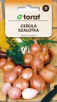 Cebula Szalotka CONSERVOR F1 (śr. wczesna)