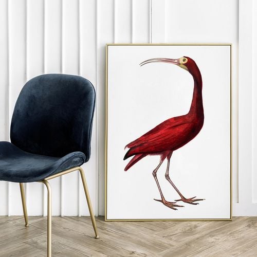 Plakat czerwony ptak ilustracja 30x40 cm na Arena.pl