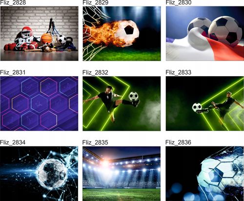 FOTOTAPETY piłkarskie sportowe PIŁKA NOŻNA 200x130 na Arena.pl