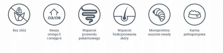 4T Veterinary Diet Dog Hypoallergenic Insect 2kg zdjęcie 3