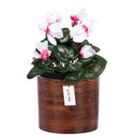 Doniczka osłonka ceramiczna Ø 16,5cm H 16cm kolor Ciemne drzewo mat