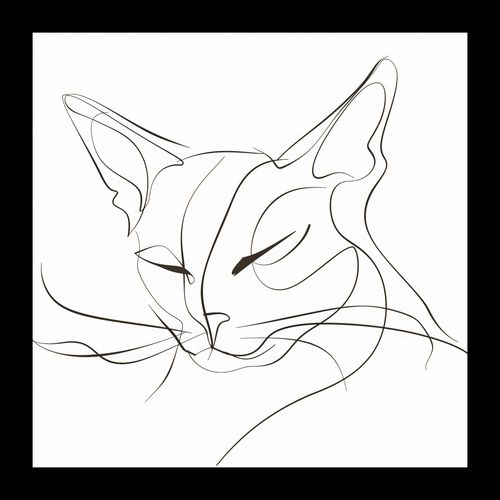 Plakat 20x20cm Linijny Kot na Arena.pl