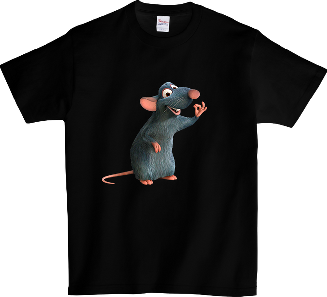 Koszulka T-shirt Ratatuj zdjęcie 1