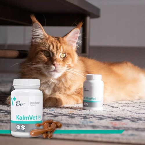 Preparat dla psów i kotów na stres Vet Expert Kalmvet 60 kapsułek twist-off na Arena.pl