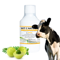 Witamina C NATURAL dla kur niosek Farmwet 250ml