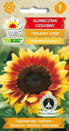 Słonecznik 'Twilight Zone' nasiona 0,5g na Arena.pl