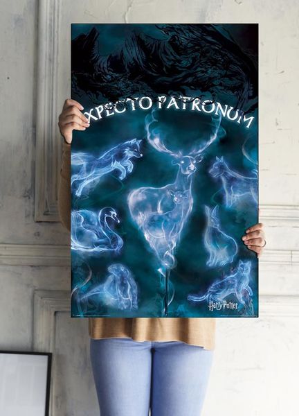 Harry Potter Patronus - plakat 61x91,5 cm zdjęcie 3