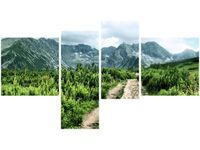 OBRAZ POLNA KAMIENISTA DROGA