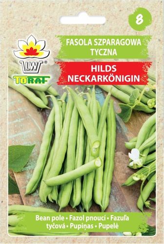 FASOLKA SZPARAGOWA NASIONA FASOLI TYCZNA ZIELONE HILDS NECKARKONIGIN p na Arena.pl