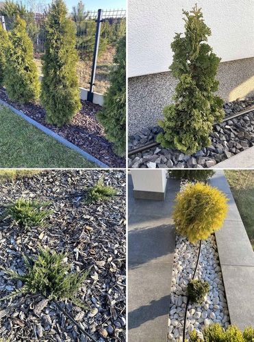 LINIA KROPLUJĄCA XXL 100m + 100el NAWODNIENIE KROPELKOWE WĄŻ KROPELKUJĄCY na Arena.pl