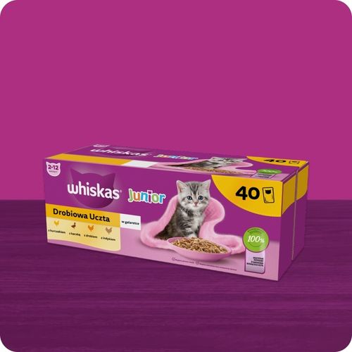 MOKRA KARMA WHISKAS JUNIOR DROBIOWA UCZTA 40x85G MIX SMAKÓW W GALARETCE na Arena.pl