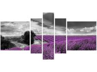 product-compare-58698606