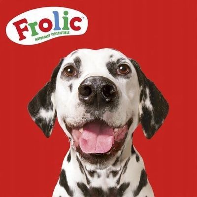 FROLIC 2,6kg Niemiecki - Wołowina 2,6kg półwilgotna na Arena.pl