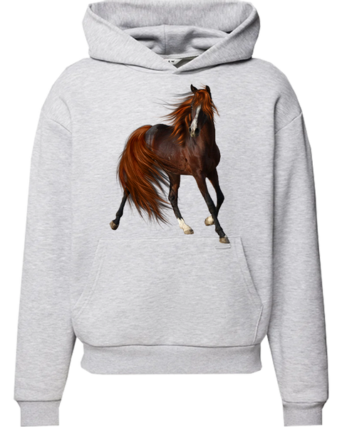 Bluza z kapturem Koń zdjęcie 1