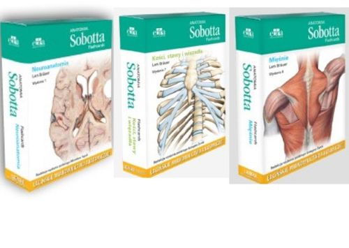 Anatomia Sobotta Flashcards. Mięśnie. Bräuer L. na Arena.pl
