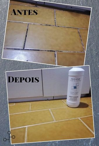 Prouve – żel do czyszczenia fug piękny zapach 0,5l na Arena.pl