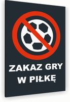 Tabliczka znak informacyjny 30x20 Antracyt ZAKAZ GRY W PIŁKĘ Nierdzewna