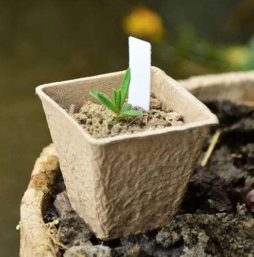 DONICZKI TORFOWE NA ROZSADY SADZONKI 8CM 20SZT na Arena.pl