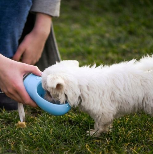 BUTELKA NA WODĘ DLA PSA BIDON POIDŁO MISKA 0,35L PRZENOŚNA SPACER TURYSTYCZ na Arena.pl