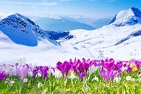 product-compare-62141347