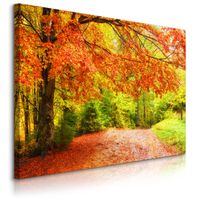 OBRAZ NA PŁÓTNIE DO JADALNI JESIENNY LAS PARK NATURA DRZEWA PEJZAŻ 120x80