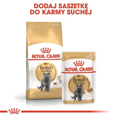 Royal Canin karma dla kotów rasy brytyjski krótkowłosy kawałki w sosie 85g na Arena.pl