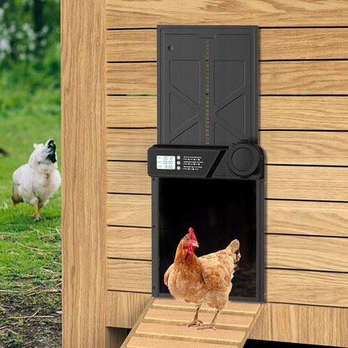 Automatyczne Drzwi Do Kurnika Z Timerem Blokada Przytrzaśnięcia Wodoodporne na Arena.pl