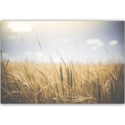 Deco Panel, Zboże w słońcu 2 90x60 na Arena.pl