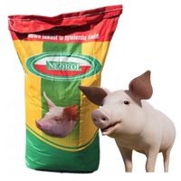 Superkoncentrat NEOROL L-UNIWERSAL z zakwaszaczem dla trzody 25kg