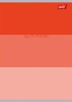 ZESZYT A5 60 = JĘZYK POLSKI ZE ŚCIĄGĄ  COLOUR STRIPES UNIPAP