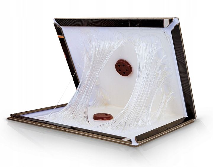 10 X LEP NA MYSZY STRONG ZESTAW SKŁADANYCH PUŁAPEK LEPOWYCH SILNIE WABIĄCE zdjęcie 6