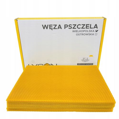 Węza pszczela Wielkopolska - 1kg, badana - Łysoń na Arena.pl