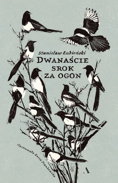 Dwanaście srok za ogon zdjęcie 1