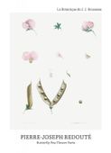 Plakat 13x18cm Butterfly Pea Flower, Redoute Vintage do Salonu