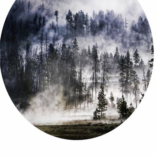 Obraz na płótnie – Canvas, las w dymie 60x90 na Arena.pl