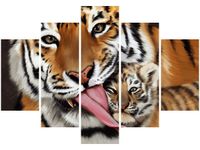 product-compare-58694520