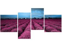 OBRAZ LAWENDOWY NCUSKI KRAJOBRAZ