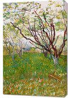 Obraz 60x90cm The Flowering Orchard, Van Gogh Vintage