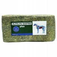 Eggersmann Alfalfa Gastro Plus Sieczka z lucerny 18 kg
