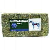 Eggersmann Alfalfa Gastro Plus Sieczka z lucerny 18 kg