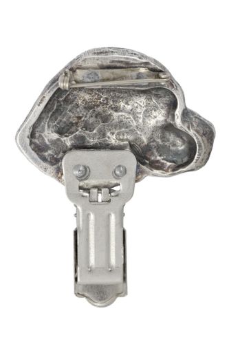 Labrador Retriever - klips - 307 na Arena.pl