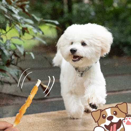 Smaczki przysmaki dla psa kurczak owinięty na wołowinie 500g PAWFECT BITES na Arena.pl